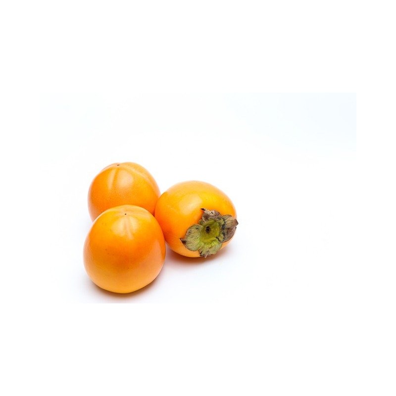 3740600003328_1 3740600003328_1