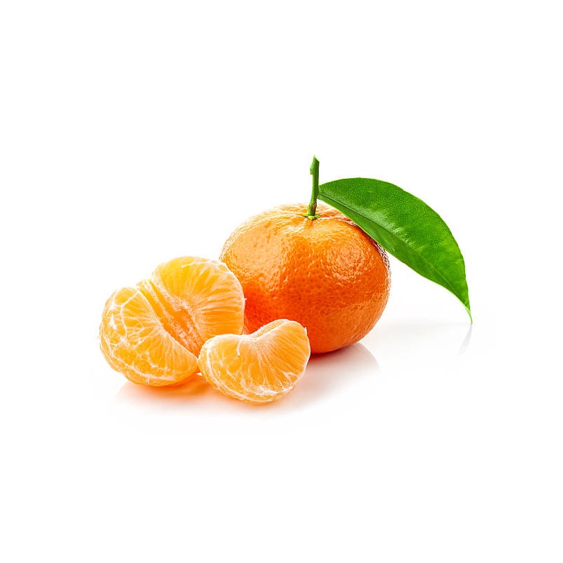 3740600026440_1 3740600026440_1